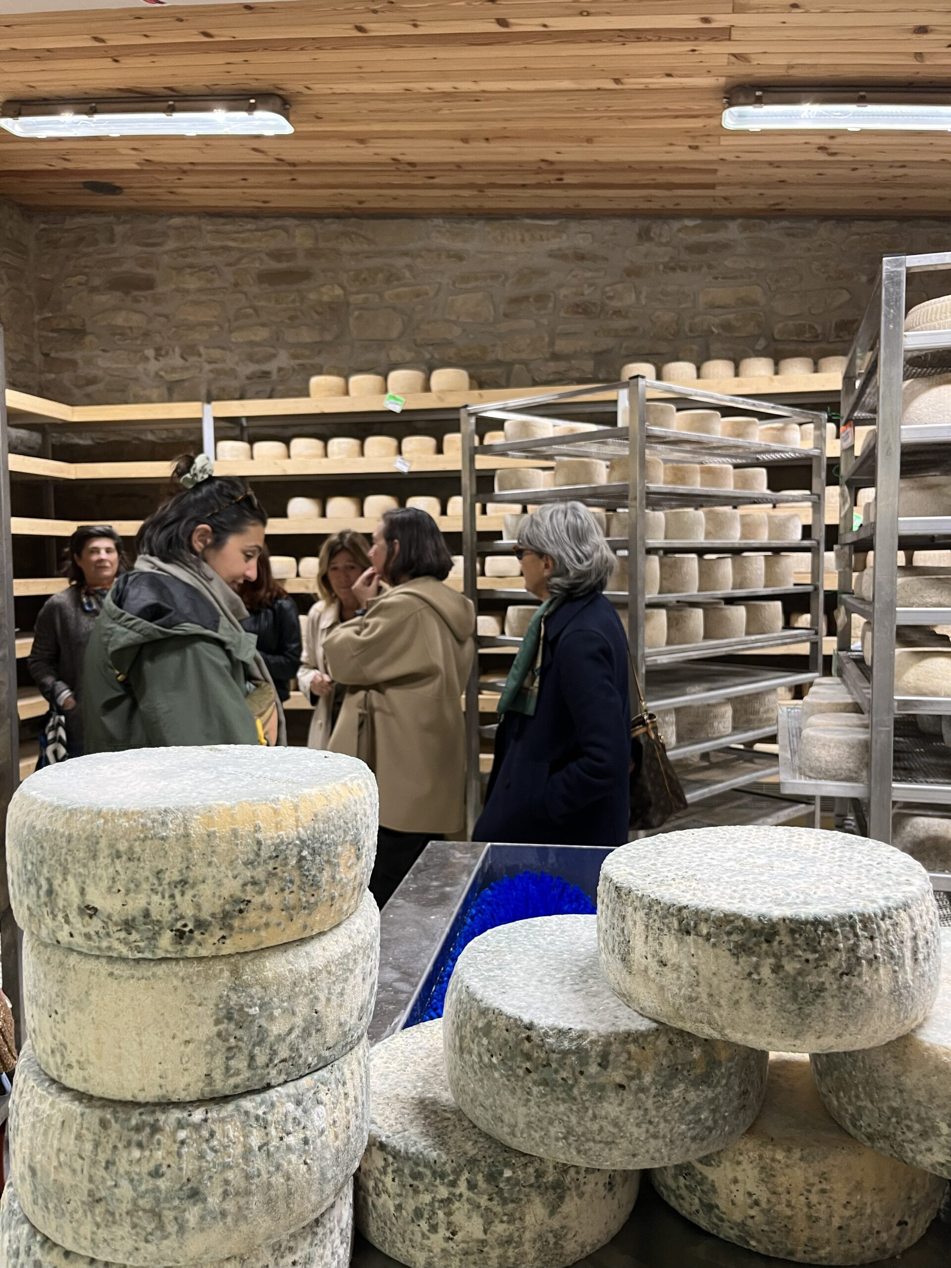 Wine&cheese tour and tasting in Ravenna