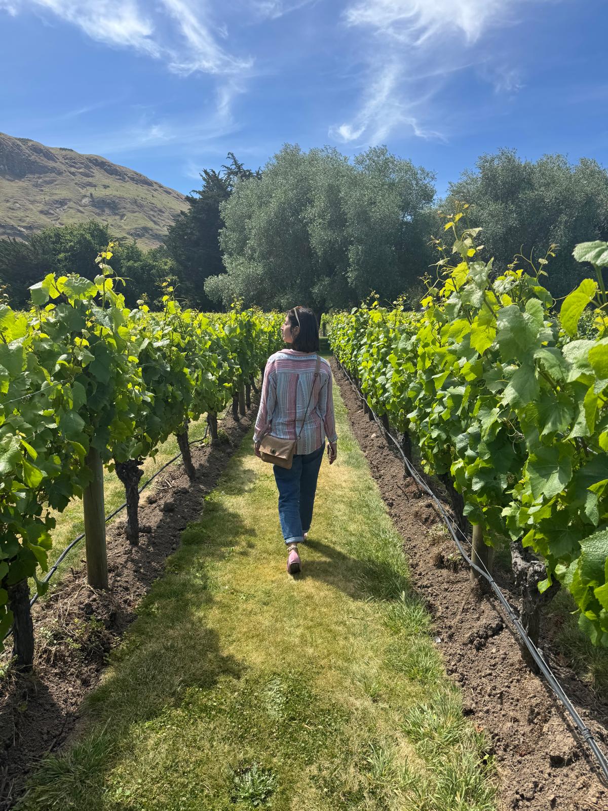 Vini del Nuovo Mondo